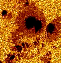 Sunspots on the solar surface